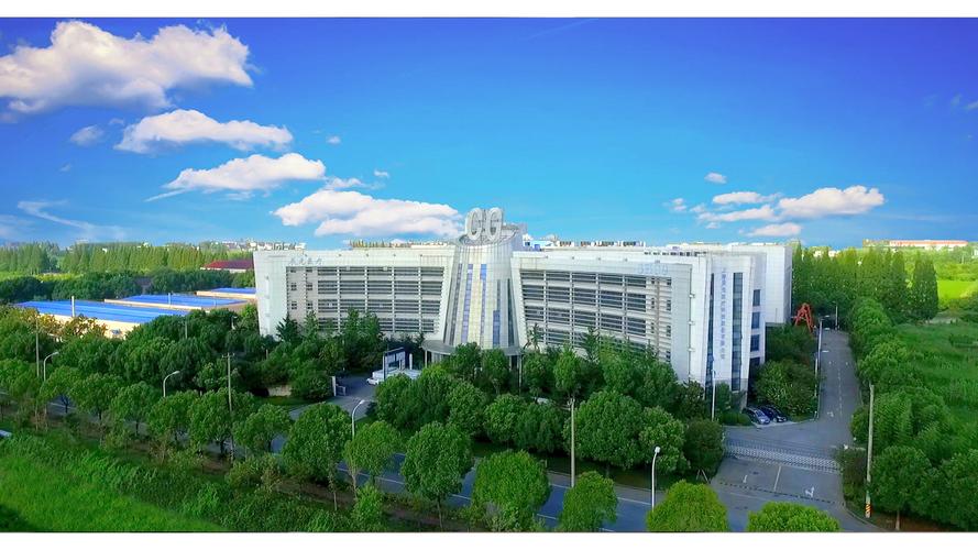 上海辰光医疗科技股份有限公司与辰光奇信息 关联、业务与协同发展解析